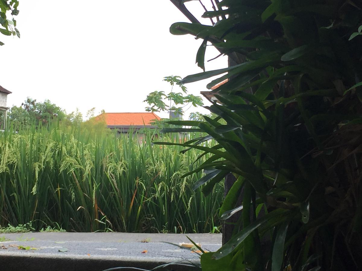 Depong House Lägenhet Ubud Exteriör bild